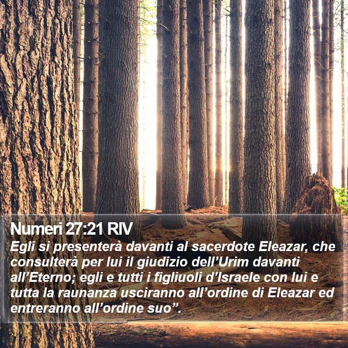 Numeri 27:21 RIV Bible Study