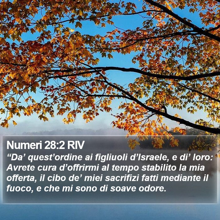 Numeri 28:2 RIV Bible Study