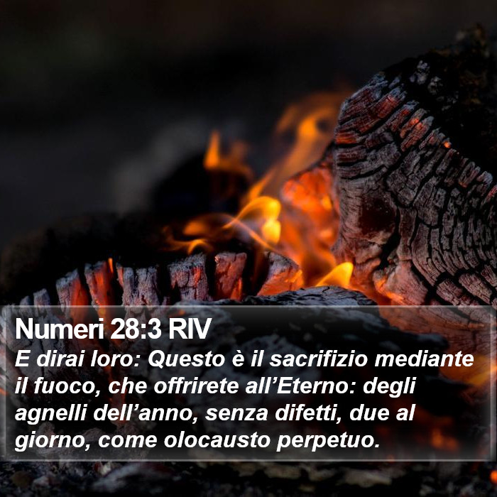 Numeri 28:3 RIV Bible Study