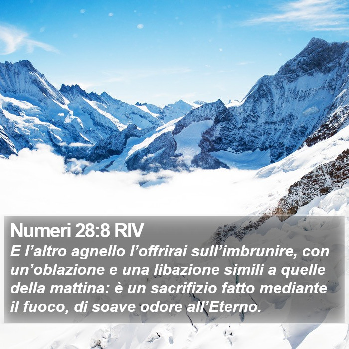 Numeri 28:8 RIV Bible Study