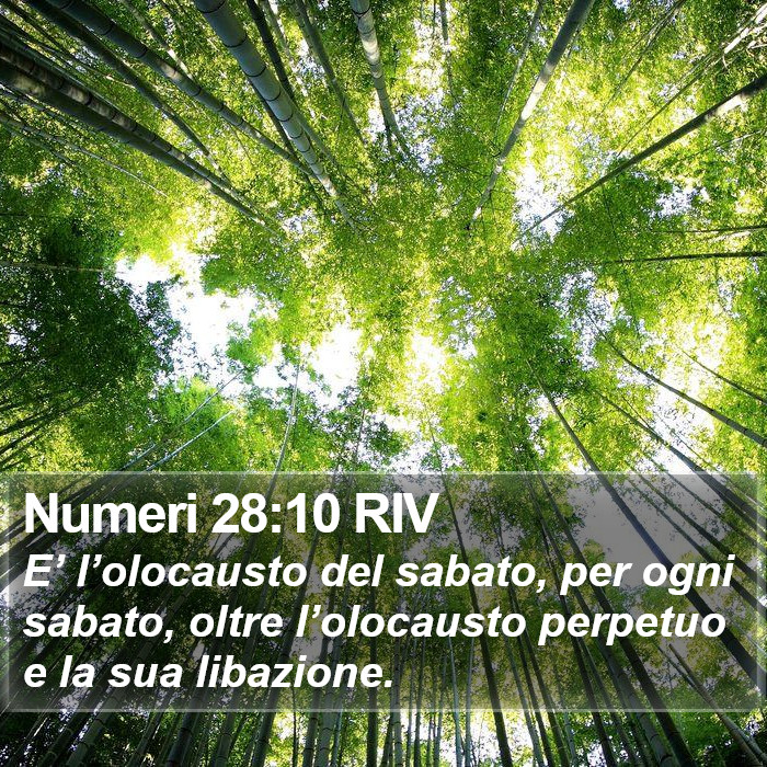 Numeri 28:10 RIV Bible Study