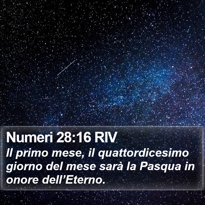 Numeri 28:16 RIV Bible Study