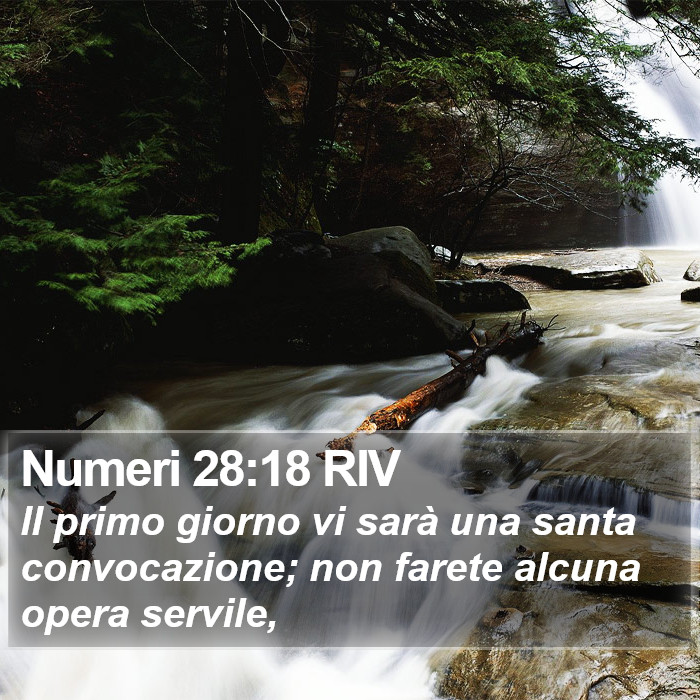 Numeri 28:18 RIV Bible Study