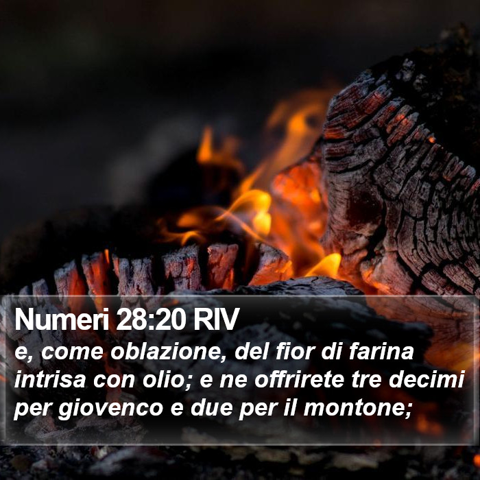 Numeri 28:20 RIV Bible Study