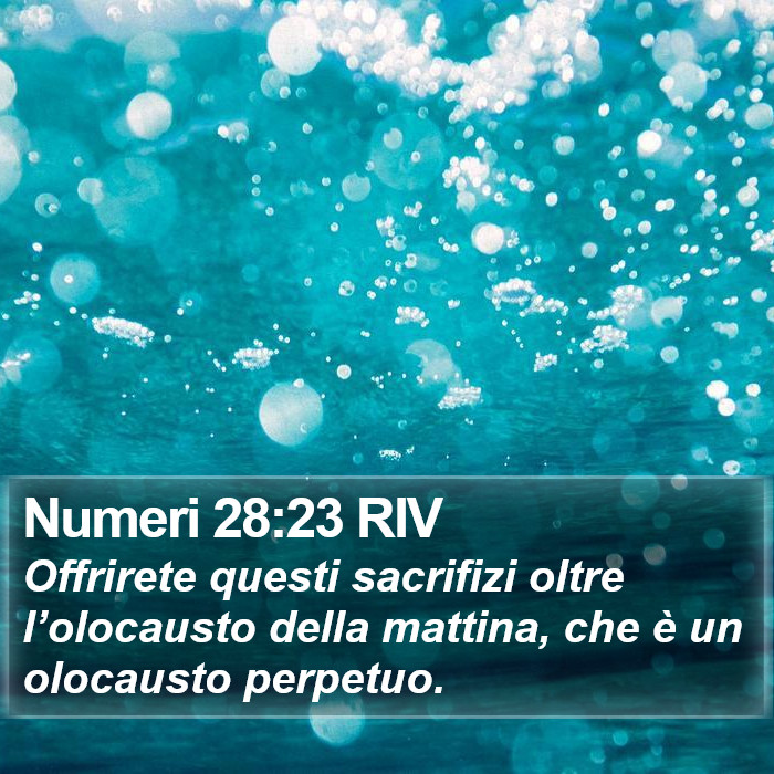 Numeri 28:23 RIV Bible Study