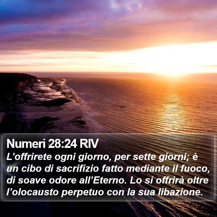 Numeri 28:24 RIV Bible Study