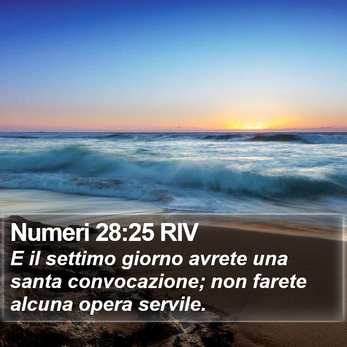 Numeri 28:25 RIV Bible Study
