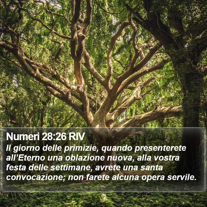 Numeri 28:26 RIV Bible Study