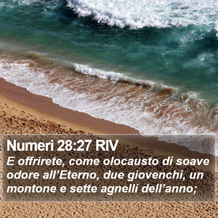 Numeri 28:27 RIV Bible Study