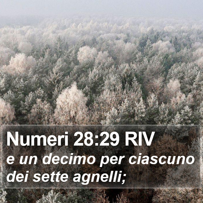 Numeri 28:29 RIV Bible Study