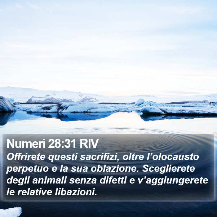 Numeri 28:31 RIV Bible Study
