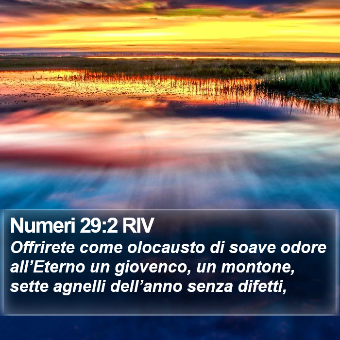 Numeri 29:2 RIV Bible Study