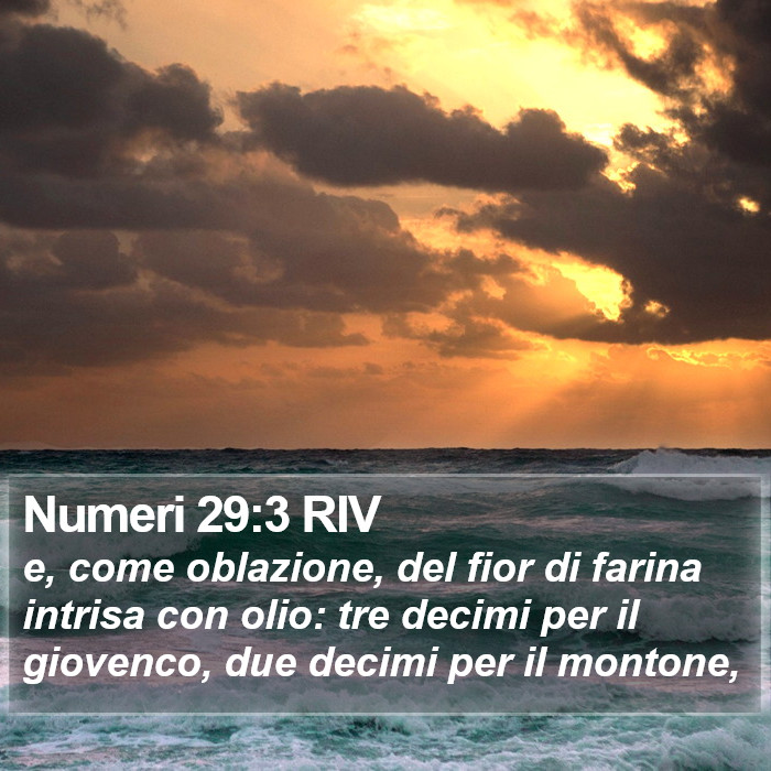 Numeri 29:3 RIV Bible Study