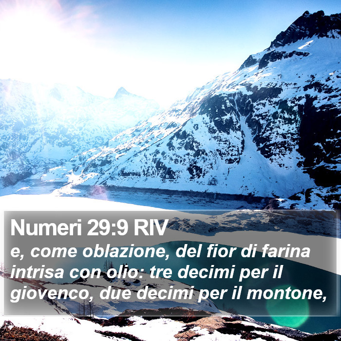 Numeri 29:9 RIV Bible Study