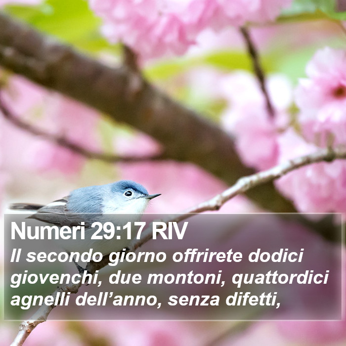 Numeri 29:17 RIV Bible Study