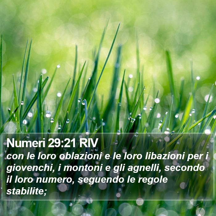 Numeri 29:21 RIV Bible Study