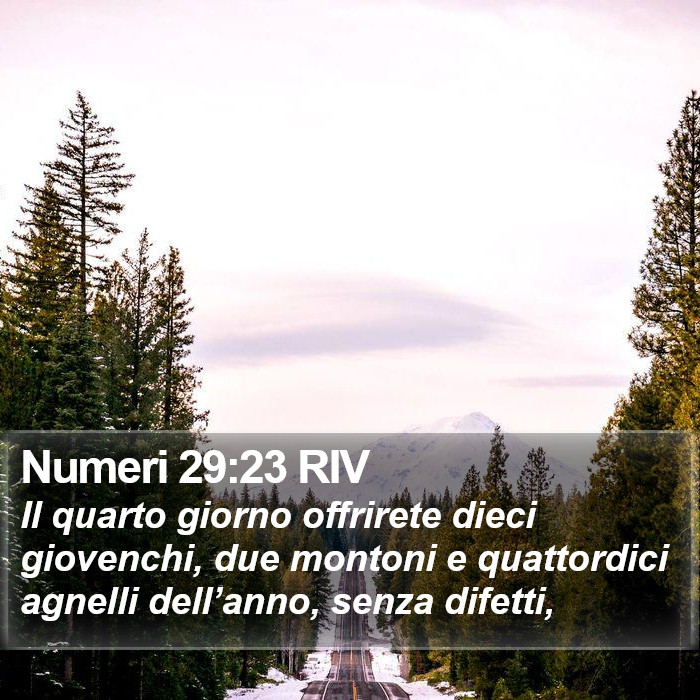 Numeri 29:23 RIV Bible Study