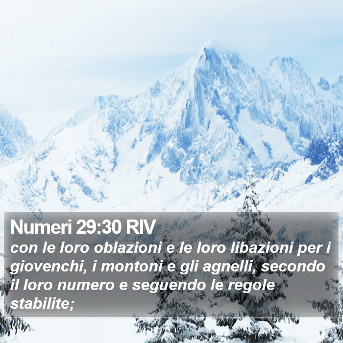 Numeri 29:30 RIV Bible Study