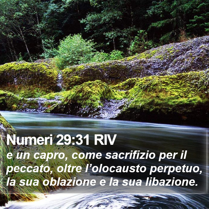 Numeri 29:31 RIV Bible Study
