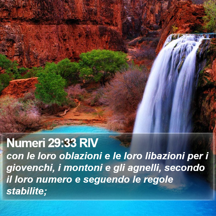 Numeri 29:33 RIV Bible Study