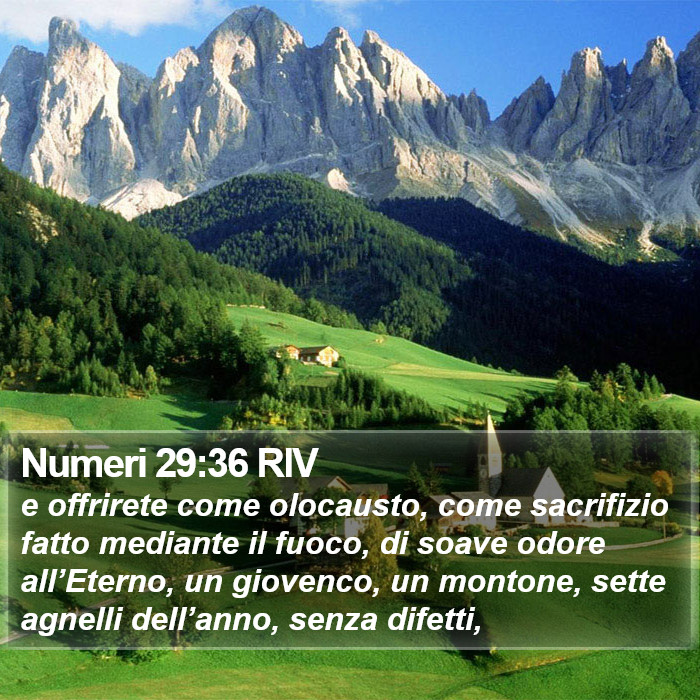 Numeri 29:36 RIV Bible Study
