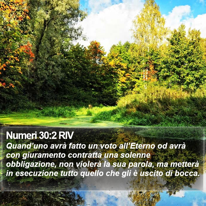 Numeri 30:2 RIV Bible Study