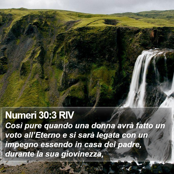 Numeri 30:3 RIV Bible Study