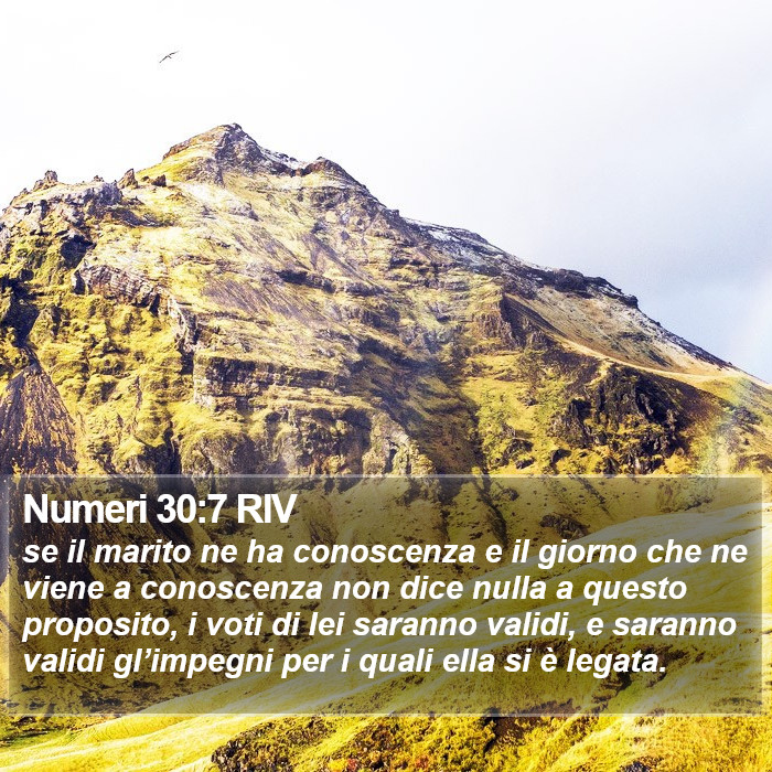 Numeri 30:7 RIV Bible Study