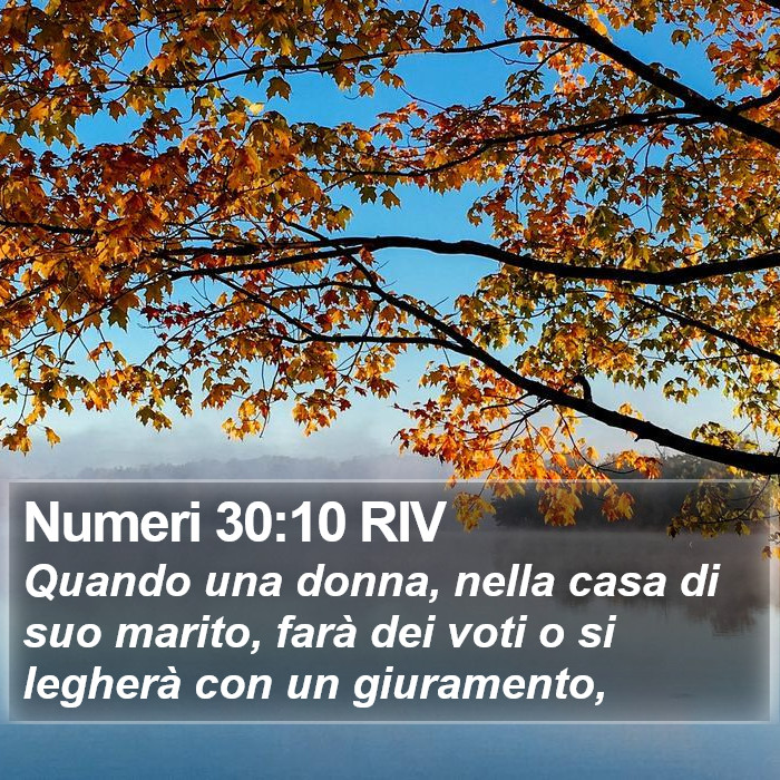 Numeri 30:10 RIV Bible Study