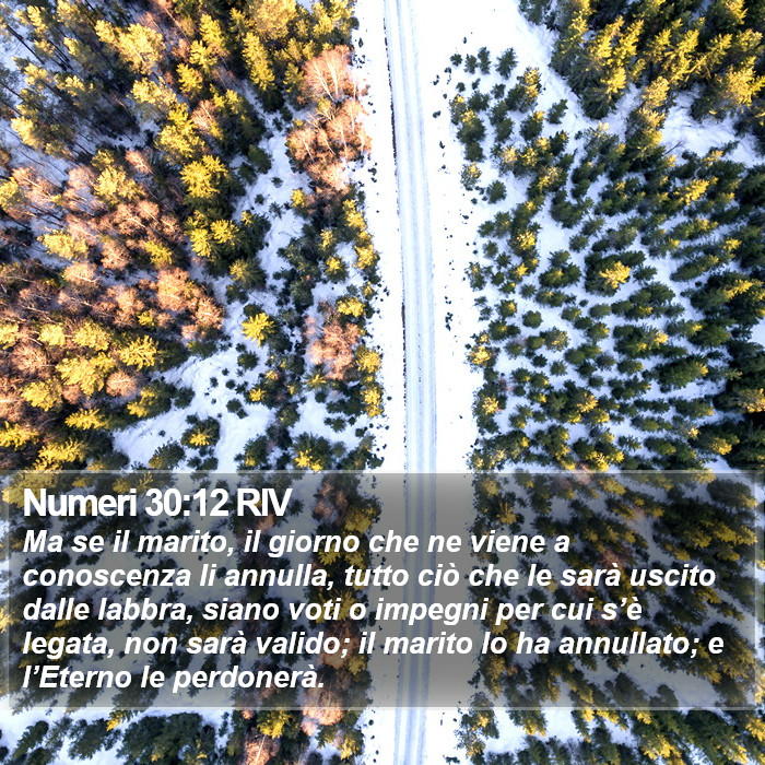 Numeri 30:12 RIV Bible Study