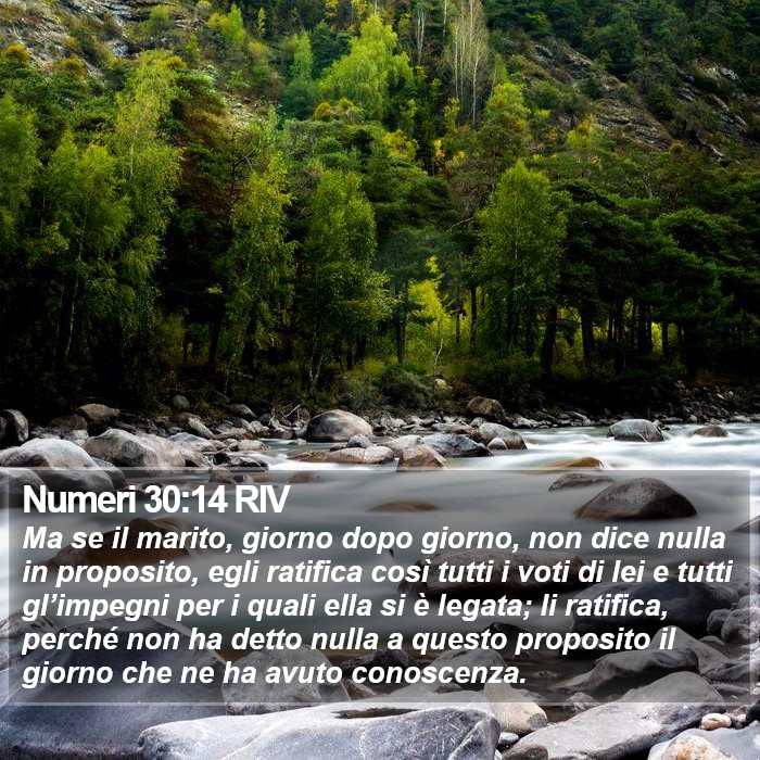 Numeri 30:14 RIV Bible Study