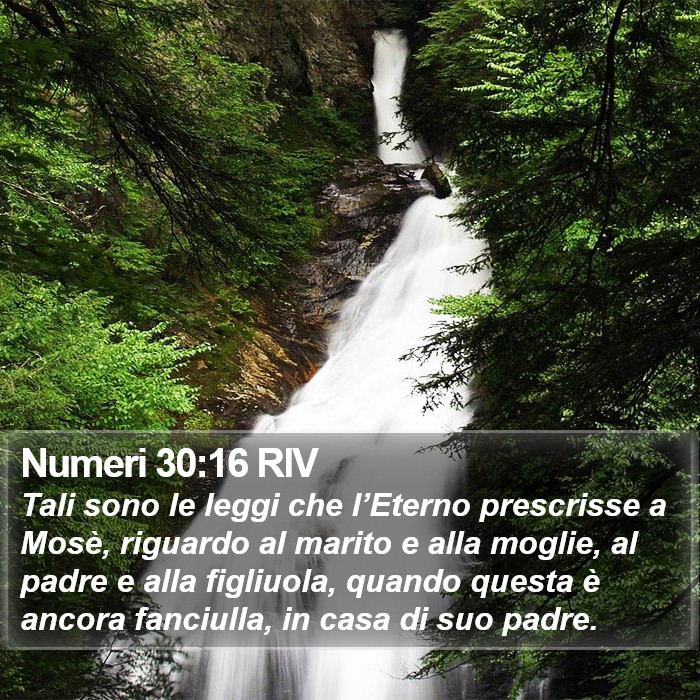 Numeri 30:16 RIV Bible Study