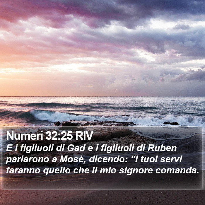 Numeri 32:25 RIV Bible Study