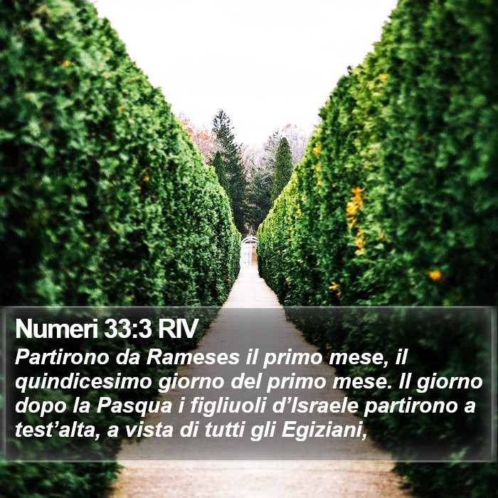 Numeri 33:3 RIV Bible Study