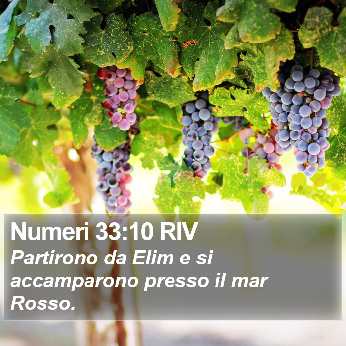 Numeri 33:10 RIV Bible Study