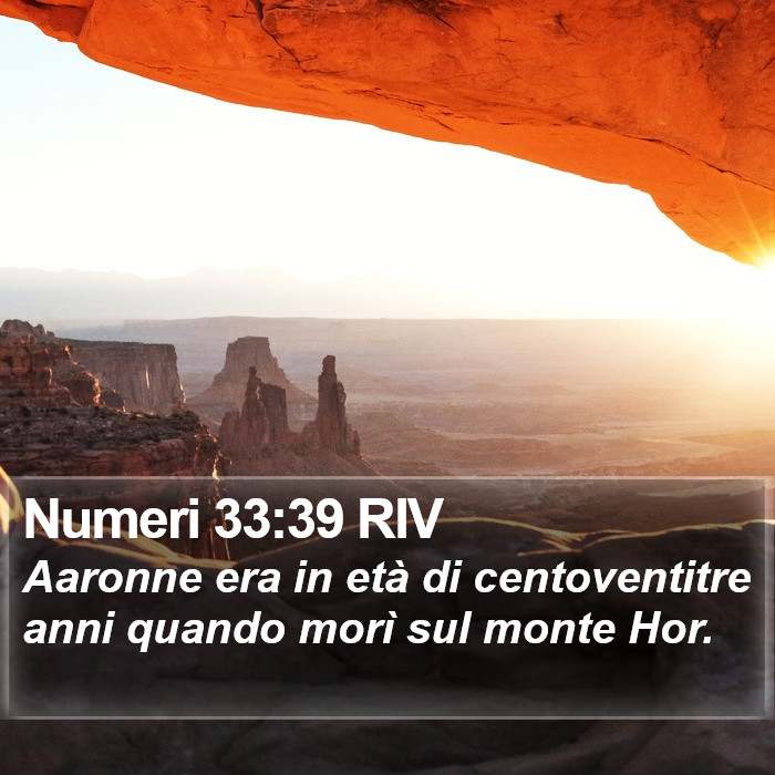 Numeri 33:39 RIV Bible Study