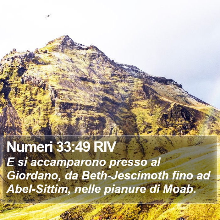 Numeri 33:49 RIV Bible Study