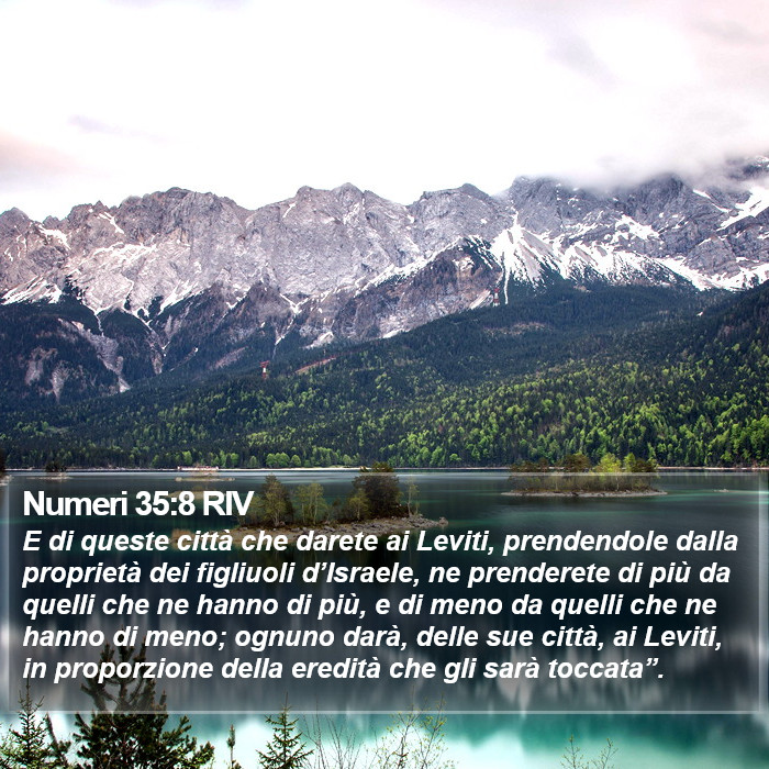 Numeri 35:8 RIV Bible Study