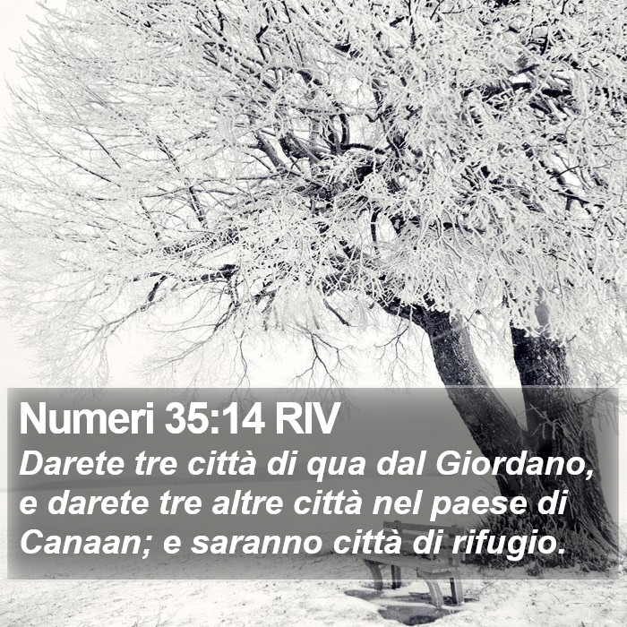 Numeri 35:14 RIV Bible Study