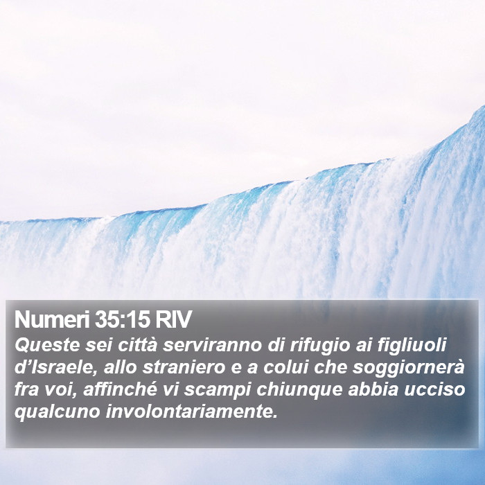 Numeri 35:15 RIV Bible Study