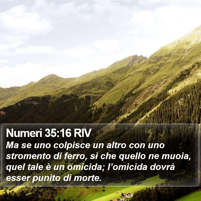 Numeri 35:16 RIV Bible Study