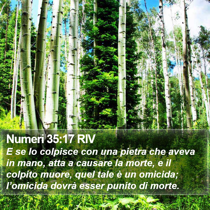 Numeri 35:17 RIV Bible Study