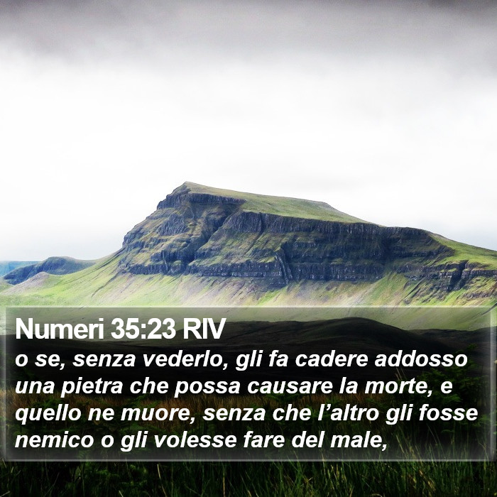 Numeri 35:23 RIV Bible Study