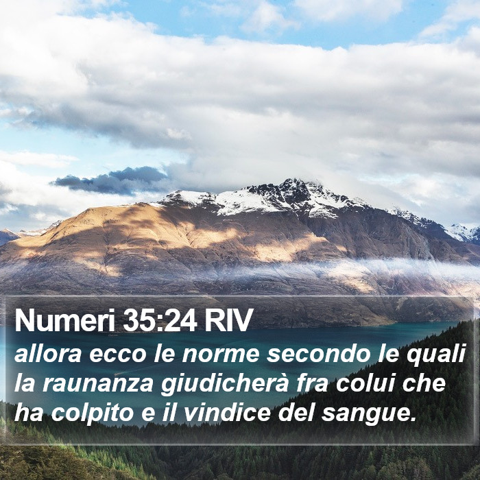 Numeri 35:24 RIV Bible Study