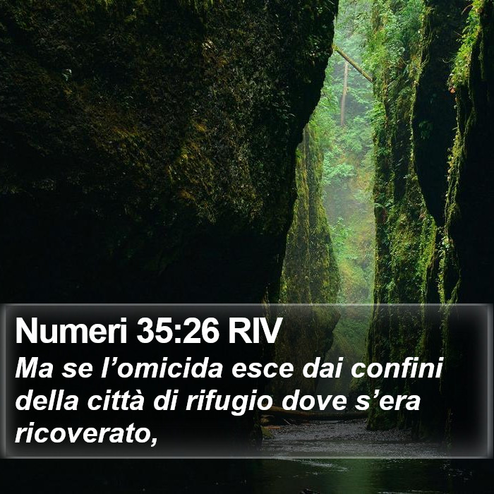 Numeri 35:26 RIV Bible Study