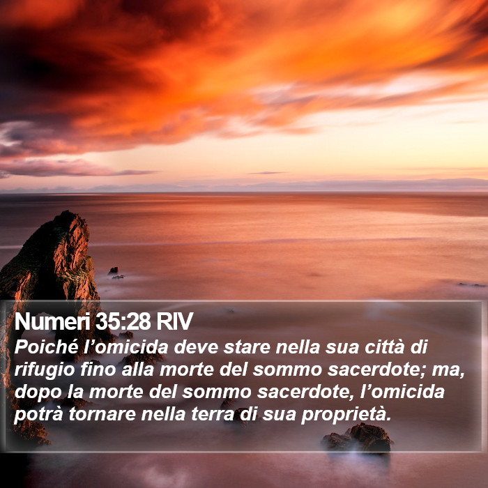 Numeri 35:28 RIV Bible Study