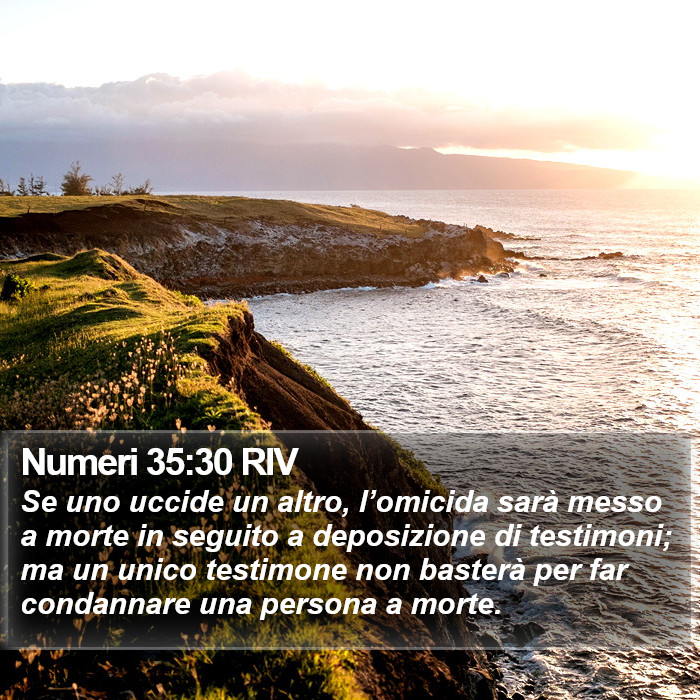 Numeri 35:30 RIV Bible Study