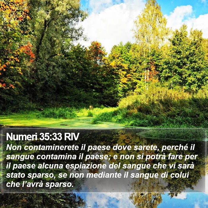 Numeri 35:33 RIV Bible Study