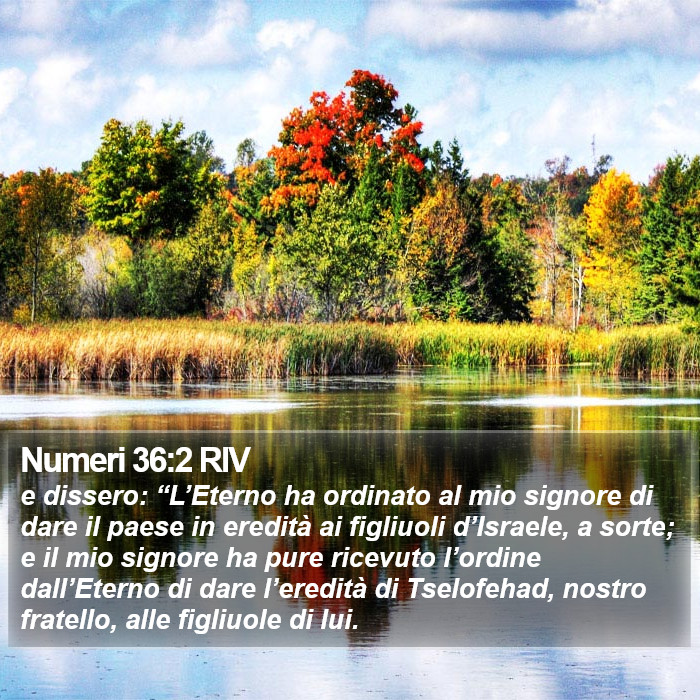 Numeri 36:2 RIV Bible Study
