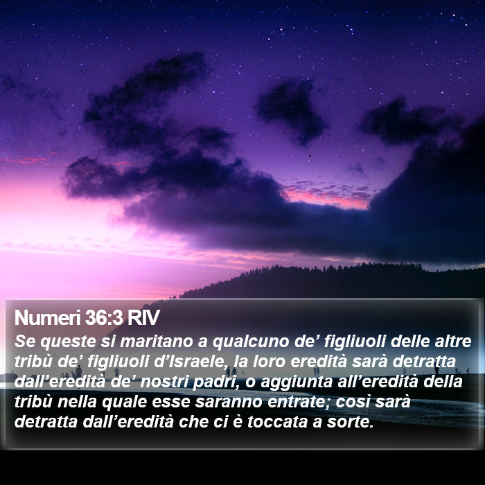 Numeri 36:3 RIV Bible Study